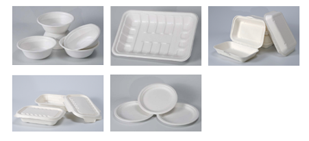 Eco-Friendly Disposable Bamboo Table Ware, Trays, Boxes & Napkin ...